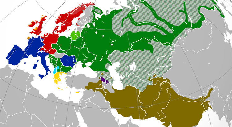 De Indo-Europese taalfamilie. © Wikimedia Commons