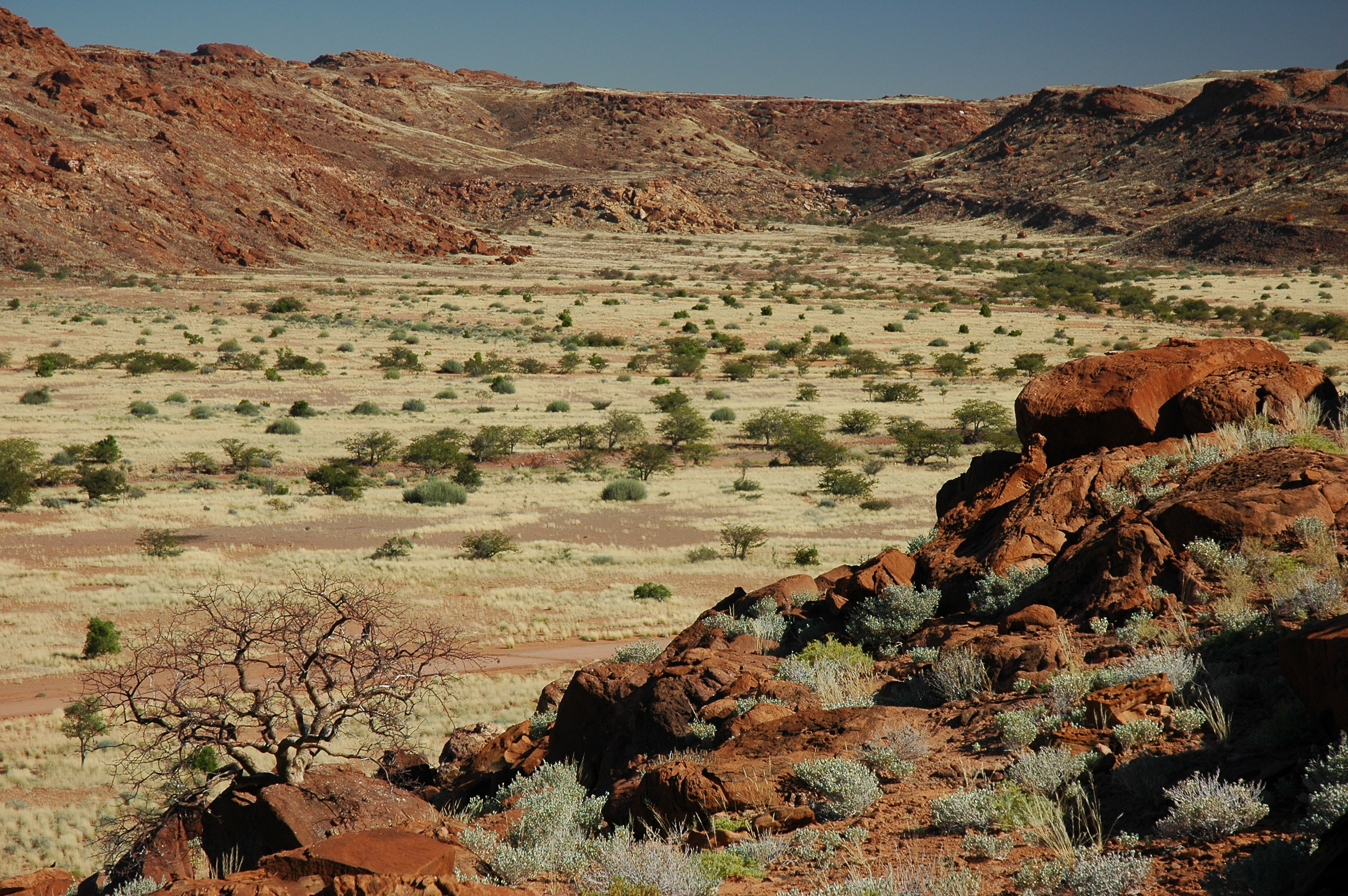 Twyfelfontein is een dal in de bergen van Damaraland in Namibië.