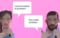 Is het hun hebben of zij hebben?
