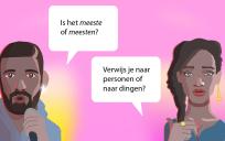 Is het meeste of meesten?