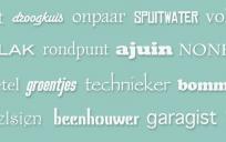 Belgisch-Nederlands