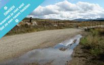 Petrichor en geosmine