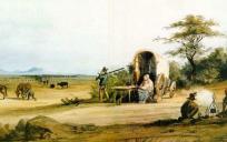 Zuid-Afrika